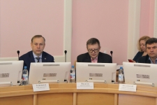 Депутаты рассмотрели обращение некоммерческой организации «Ревизор»